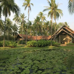 Отель Evason Hua Hin детские мероприятия фото 2