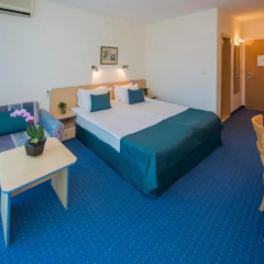 Holiday Park Hotel 4* Стандартный номер с различными типами кроватей фото 11