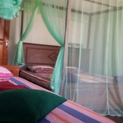 Отель Shasee Rest -Mirissa Sri Lanaka 2* Номер категории Эконом с различными типами кроватей фото 11