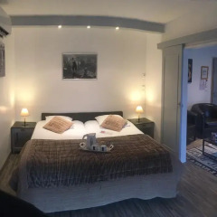 Отель Les Terrasses De Saumur 3* Стандартный номер фото 3