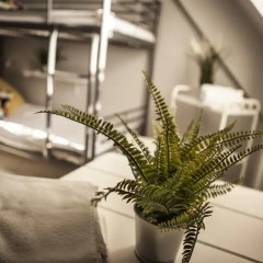 Bi-Pi Hostel Стандартный номер с разными типами кроватей фото 9