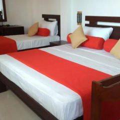 Отель Vin Roma Homestay Стандартный номер с различными типами кроватей фото 4