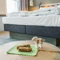 Отель Cocoon Hauptbahnhof 3* Номер Делюкс с различными типами кроватей фото 6