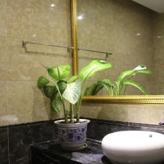 Xiamen Alice Theme Hotel 3* Улучшенный номер фото 9