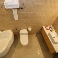 Thuy Sakura Hotel & Serviced Apartment 3* Номер Делюкс с различными типами кроватей фото 5