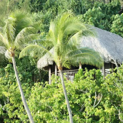 Отель Sofitel Bora Bora Private Island 4* Номер Делюкс с различными типами кроватей фото 2