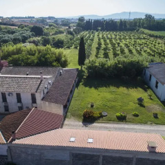 Отель Agriturismo Il Giglio Ористано фото 2