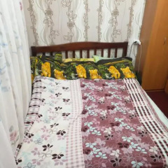 Mini-hotel Ekonomnaya Derevnia Люкс фото 7