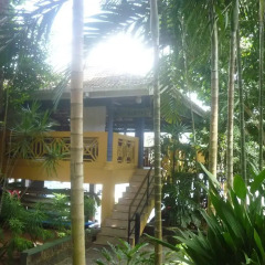 Отель Laluna Ayurveda Resort Шри-Ланка, Бентота - отзывы, цены и фото номеров - забронировать отель Laluna Ayurveda Resort онлайн фото 5