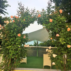 Отель Jasmin 3* Стандартный номер с различными типами кроватей фото 3
