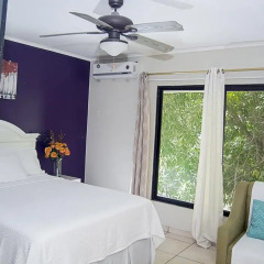 Casa Bella Hotel Boutique Стандартный номер с различными типами кроватей фото 9
