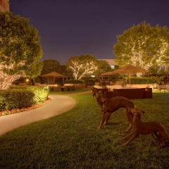 Отель InterContinental Los Angeles Century City at Beverly Hills США, Лос-Анджелес - отзывы, цены и фото номеров - забронировать отель InterContinental Los Angeles Century City at Beverly Hills онлайн фото 2