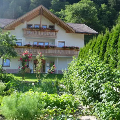Отель Pretzerhof Кампо-ди-Тренс