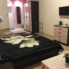 Mini-Hotel Silver комната для гостей фото 2