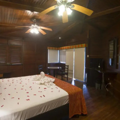 Отель Chachagua Rainforest Ecolodge 3* Стандартный номер с различными типами кроватей фото 8