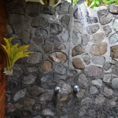 Отель Daku Resort Savusavu 3* Номер категории Эконом с различными типами кроватей фото 5