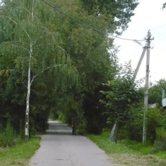 Гостевой дом Домодедово фото 16