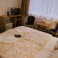 Hotel Zátiší Františkovy Lázně 3* Стандартный номер фото 6