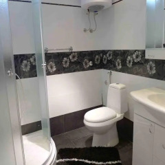 Отель Guest House Perla Сербия, Панчево - отзывы, цены и фото номеров - забронировать отель Guest House Perla онлайн ванная фото 2