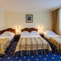 Hotel Belvedere 4* Стандартный номер с различными типами кроватей фото 8