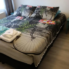 Отель A Bed & Breakfast Flynt Нидерланды, Амстердам - отзывы, цены и фото номеров - забронировать отель A Bed & Breakfast Flynt онлайн удобства в номере