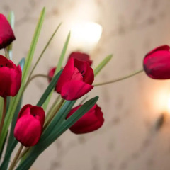 Hotel Prestige интерьер отеля