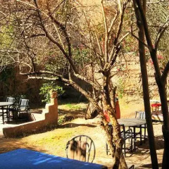Отель Riad Dar Zaouia Марокко, Загора - отзывы, цены и фото номеров - забронировать отель Riad Dar Zaouia онлайн фото 9