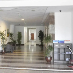 Отель Flora Hotel - Apartments Болгария, Боровец - отзывы, цены и фото номеров - забронировать отель Flora Hotel - Apartments онлайн интерьер отеля