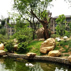 Chimelong Hotel бассейн фото 2