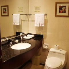 The Bund Riverside Hotel 4* Номер категории Эконом с двуспальной кроватью фото 4