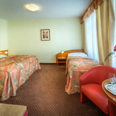 Seifert Hotel детские мероприятия фото 2