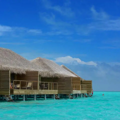 Отель Cocoon Maldives пляж
