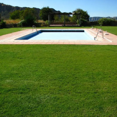Отель Cortijo la Argumosa бассейн