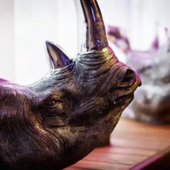 Отель pentahotel Leuven Бельгия, Лёвен - отзывы, цены и фото номеров - забронировать отель pentahotel Leuven онлайн с домашними животными