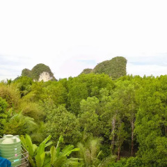 Отель The Kim Таиланд, Краби - отзывы, цены и фото номеров - забронировать отель The Kim онлайн