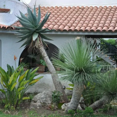 Отель Villa Mary Фонтане-Бьянке фото 7