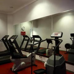 Отель Crowne Plaza Riyadh Minhal Саудовская Аравия, Эр-Рияд - отзывы, цены и фото номеров - забронировать отель Crowne Plaza Riyadh Minhal онлайн фитнесс-зал