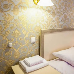 Борт-Отель Внуково 3* Люкс с различными типами кроватей фото 14