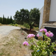 Отель Casa Rural Cabeza Alta Алькаудете фото 5