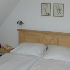 Ferien- und Reitsport Hotel Brunnenhof комната для гостей