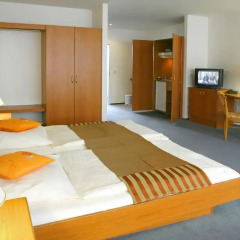 Centro Hotel Celler Tor 3* Стандартный номер с различными типами кроватей фото 4