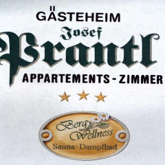 Отель Gasteheim Prantl Хохгургль спортивное сооружение