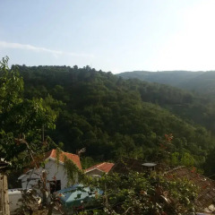 Отель Quinta Encosta Do Marao Амаранте фото 4