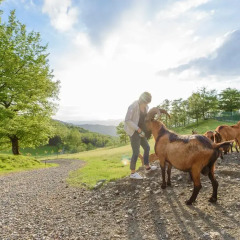 Отель Agriturismo Casa Passerini a Firenze 2* Стандартный номер фото 4