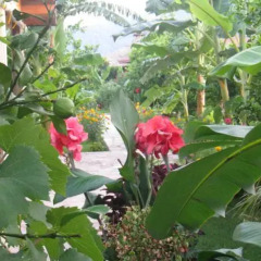 Отель Cirali Almira Bungalow фото 16