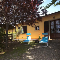 Отель Agriturismo Cerroni Montescudaio Монтескудаио фото 12