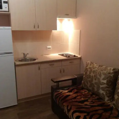 Апартаменты Studio Darvina 20 Студия фото 11