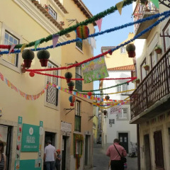 Отель Castle Inn Lisbon развлечения