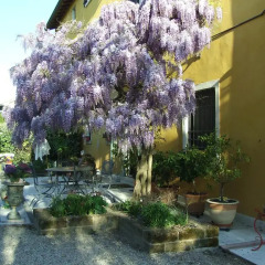 Отель B&B Casacasina Италия, Монцамбано - отзывы, цены и фото номеров - забронировать отель B&B Casacasina онлайн фото 7