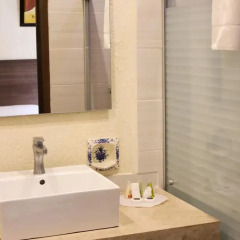 Hotel Posada Virreyes 3* Стандартный номер с различными типами кроватей фото 6